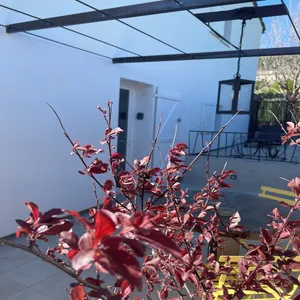 Image of Appartement au calme et belle terrasse