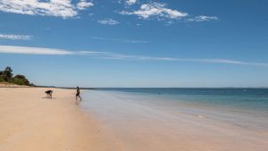 Image of Chilled Vibes at Merricks Beach