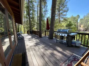 Image of Pet-friendly cabin by the creek backing forest service