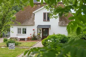 Image of Friedrichstadt: Thatched-roof cottage on the Eider dike with sun terrace near the North Sea