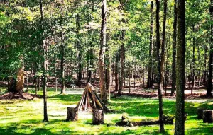 Image of Quiet Cabin Retreat Near Serenbe
