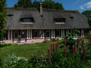 Image of ---- The cottage ---