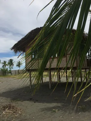Image of Off grid on the road less travelled, come experience Papua New Guinea.