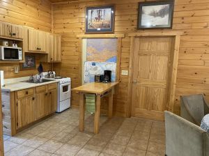 Image of Cozy Northwoods Cabin