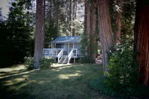 Image of Lakefront Romantic Getaway - The Little Blue Cabin