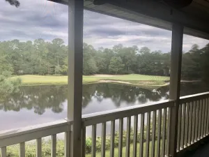 Image of Pawleys Paradise