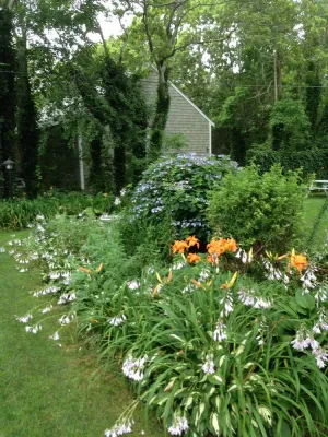 Image of McCormick Cottages - Efficiency