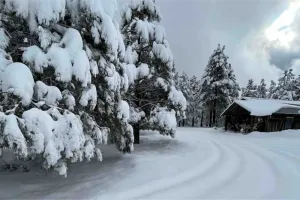 Image of Cozy Rustic Ranch Cabin close to Williams in Parks