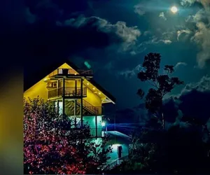 Image of Winter Garden Resorts
