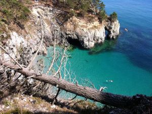 Image of Morgat, charming little house near the beach