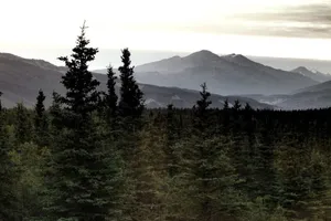 Image of Denali Wildlife Grizzly Cabin Luxury with a touch of Rustic..