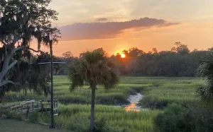 Image of Marsh Front and Tidal Creek Home
