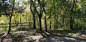 Image of Serene Chalet on the Hill cabin near beautiful Cedar River.