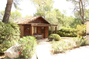 Image of Wooden chalet in the middle of the pines