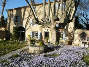 Image of Villeneuve lez Avignon, in the countryside, pretty pavilionT2 40m2.