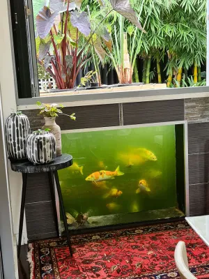Image of Bamboo House, Close to the City & Airport & Train station and Brighton Le Sands Beach