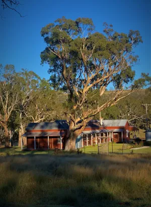 Image of Fabulous Country Stay on New England cattle & sheep property