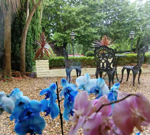 Image of The Daylesford Guest House