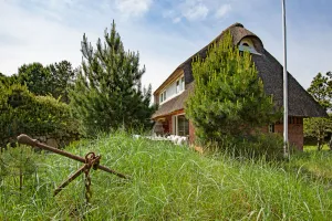 Image of Herzlich Willkommen im Ferienhaus Syltcottage
