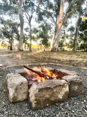 Image of Manna Gums Tiny - Riddells Creek; Relax and Unwind