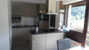 Image of Cosy, fully-equipped apartment overlooking the Aravis chain