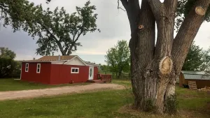 Image of The Red House