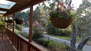 Image of Charming Remodeled Single Level. HotTub. Fenced backyard. Porch view!