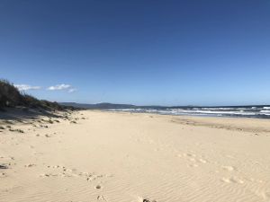 Image of Shoal Cottage - beach escape