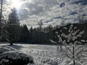 Image of Escape to Whispering Woods #454!! --- Mt. Hood Village, OR