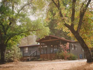 Image of Forested Acres, Tranquil Setting, Hot Tub, Close to Yosemite