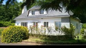 Image of Beautiful character house