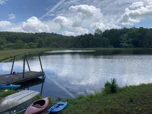 Image of Lakeside Serenity: Your Own Lake House on 33 Acres with an 8-Acre  stocked Lake