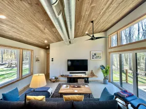 Image of Modern Cabin In The Woods