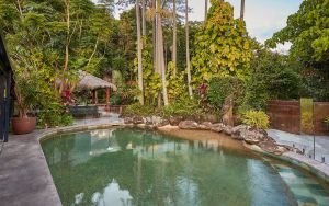 Image of Captivating Currumbin Valley