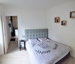 Image of Appartement T2 "JUNGLE" Centre Ville de VITRÉ au calme coté cour