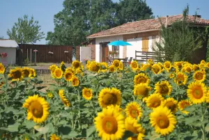 Image of At the gateway to the Gers, Eden Farm's air-conditioned gîte
