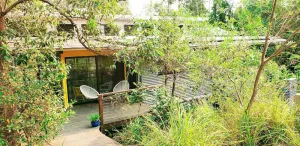 Image of Bush block and ocean! A winner- trees, wildlife and the sound of the ocean!