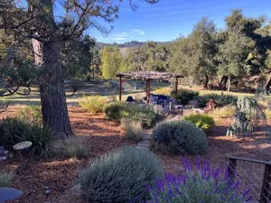 Image of Central Coast , Meadow, Great Roads, Wildlife, Hot-Tub, Polite Pets Welcome