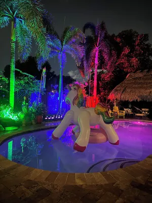 Image of Clothes optional Tranquil Private room Paradise. In Fort Lauderdale. LGBTQ+ ❤️