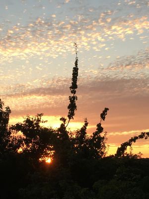 Image of Charming house, Perche Sarthois, 2 hours from Paris