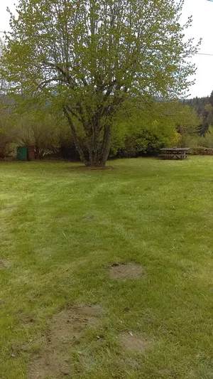 Image of a house surrounded by nature