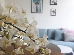 Image of Apartment for up to 4 guests in the West Harz, dog allowed