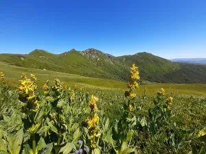 Image of Apartment 6 people station Chastreix Sancy alt 1385m