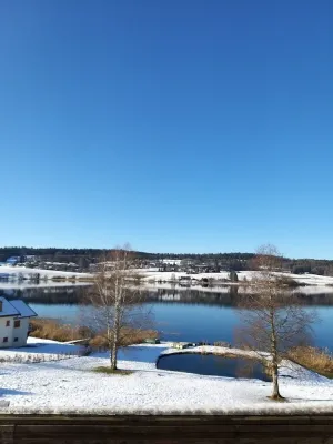 Image of CHALET-MICHEL avec SPA