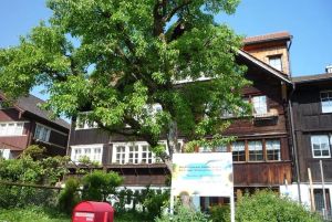 Image of Holiday house Thal for 1 - 6 persons with 3 bedrooms - Holiday home