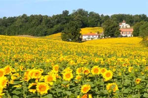 Image of Les Renaudières Chalais... private heated swimming pool
