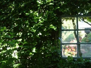 Image of Ferienwohnung Landhaus im Grünen
