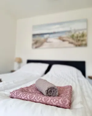 Image of Renovated Studio, situated next to the dunes. Nearby beach and sea!