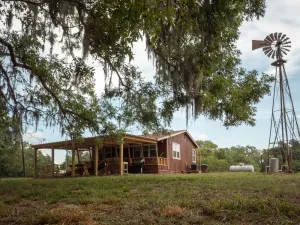 Image of Rustic Cabin in the Woods