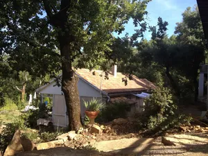 Image of Cottage surrounded by nature, in the heart of the Cévennes.